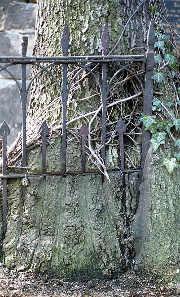 Neust.Friedhof (53) 03-1994.jpg